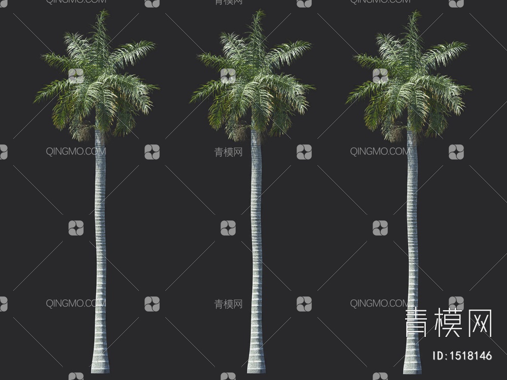椰子树 热带树 棕榈树3D模型下载【ID:1518146】