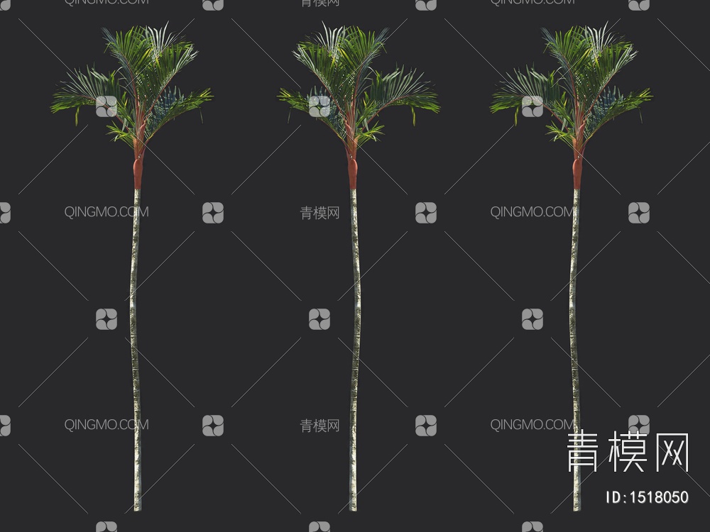 棕榈树 热带树3D模型下载【ID:1518050】