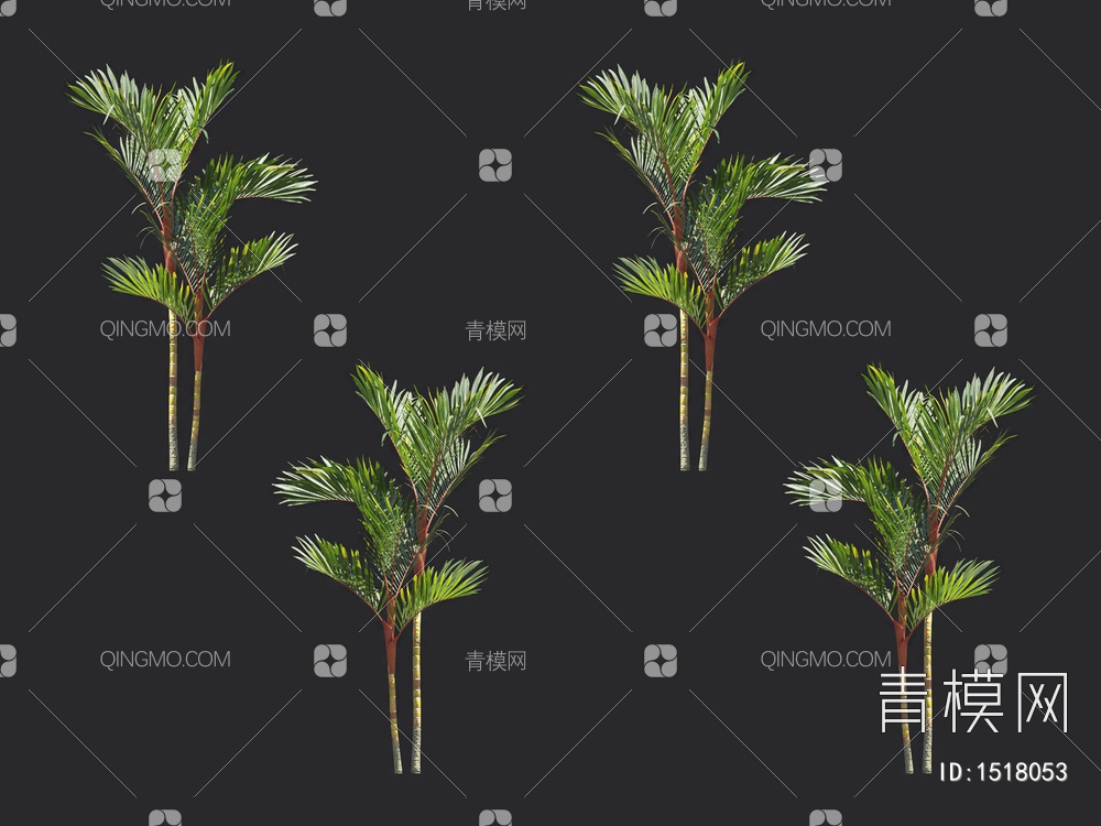 棕榈树 热带树3D模型下载【ID:1518053】