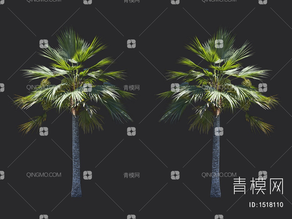 椰子树 热带树 棕榈树3D模型下载【ID:1518110】
