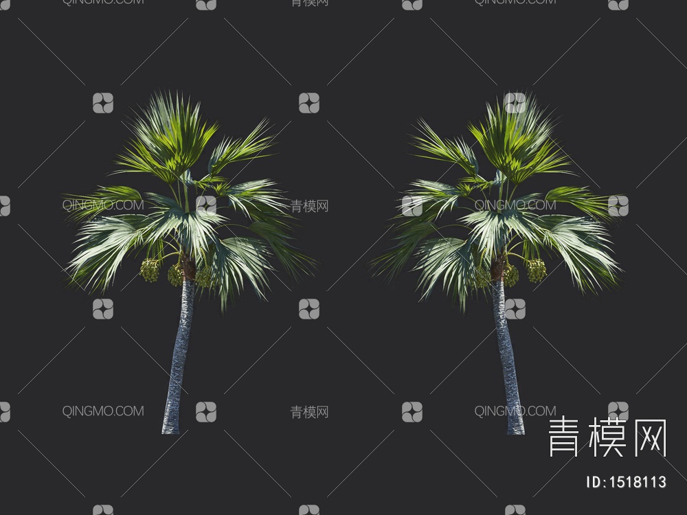 椰子树 热带树 棕榈树3D模型下载【ID:1518113】