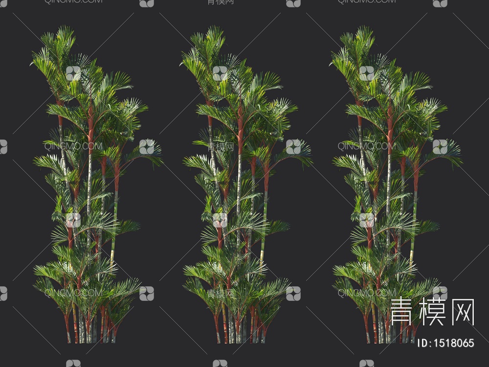 棕榈树 热带树3D模型下载【ID:1518065】