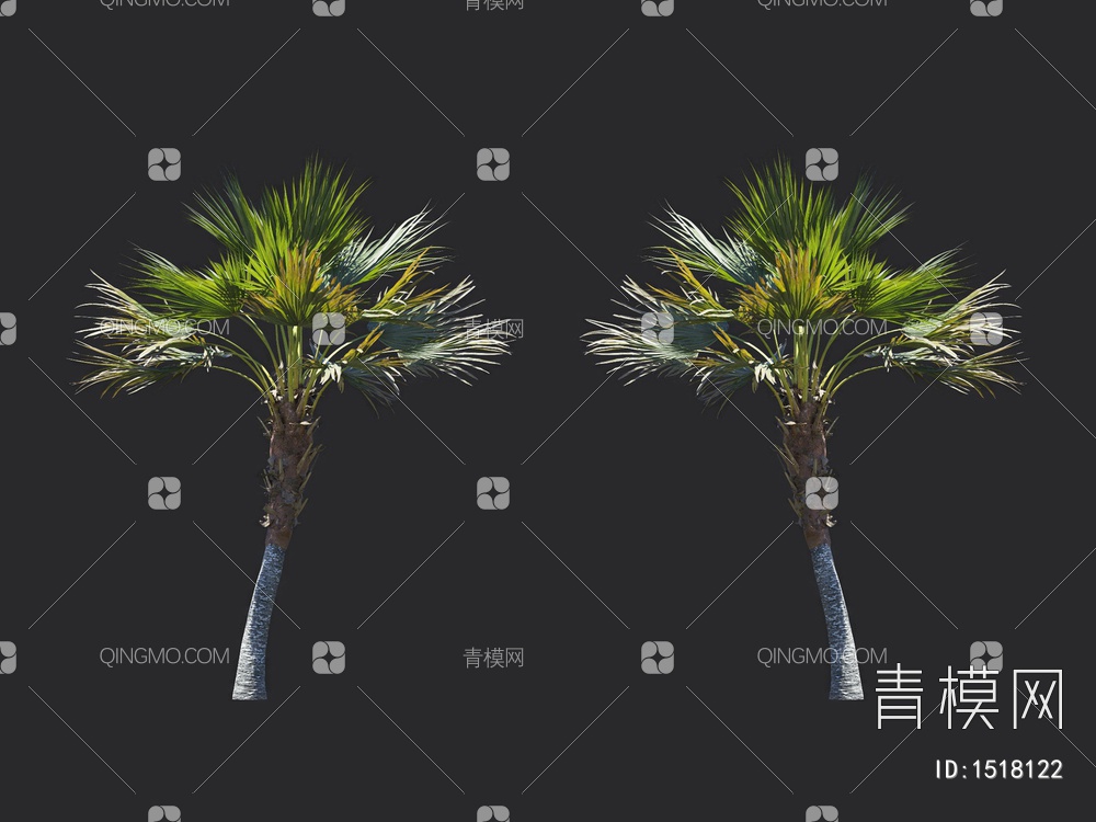 椰子树 热带树 棕榈树3D模型下载【ID:1518122】