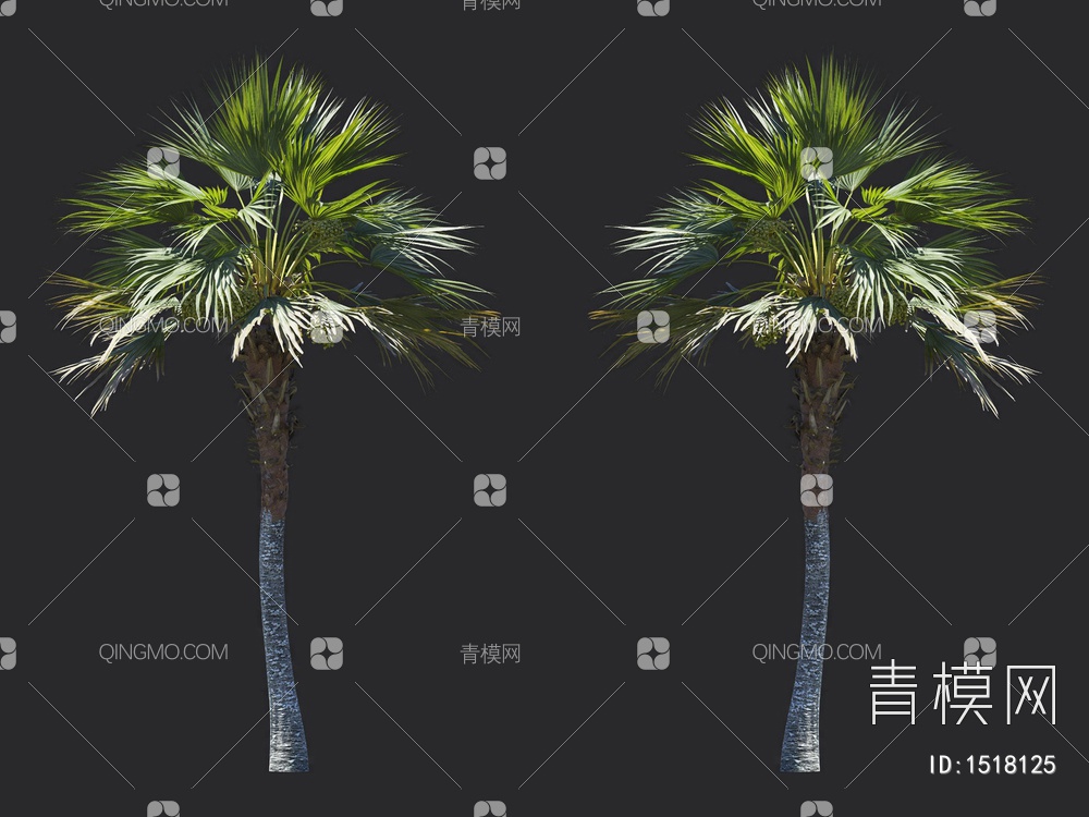 椰子树 热带树 棕榈树3D模型下载【ID:1518125】
