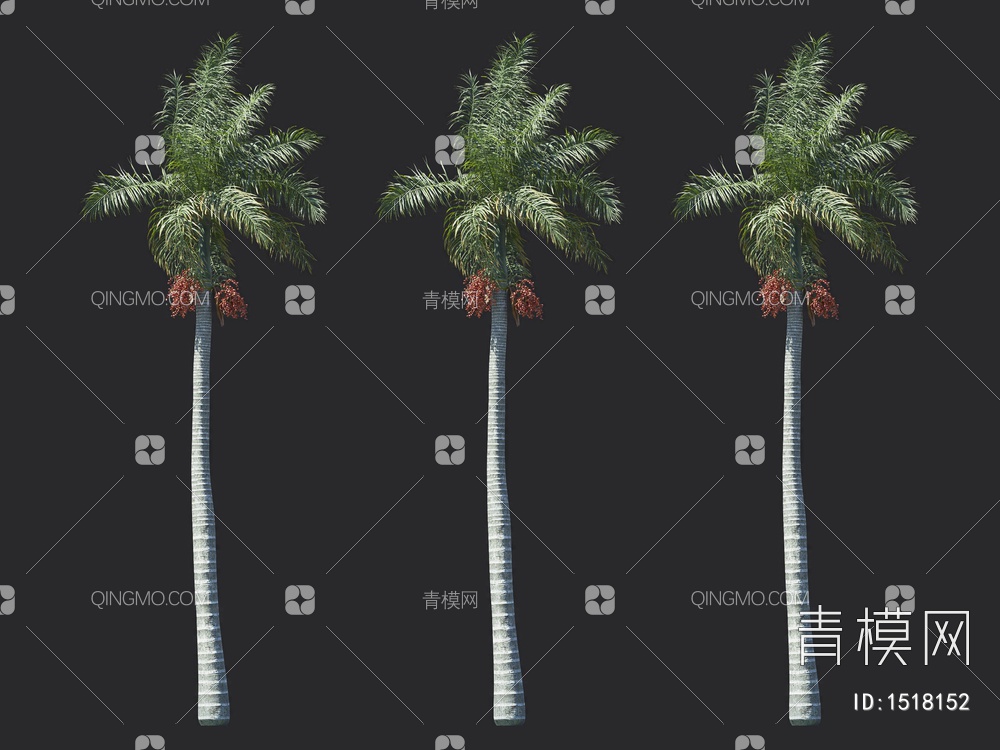 椰子树 热带树 棕榈树3D模型下载【ID:1518152】