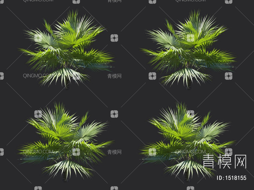 棕榈树，热带树3D模型下载【ID:1518155】