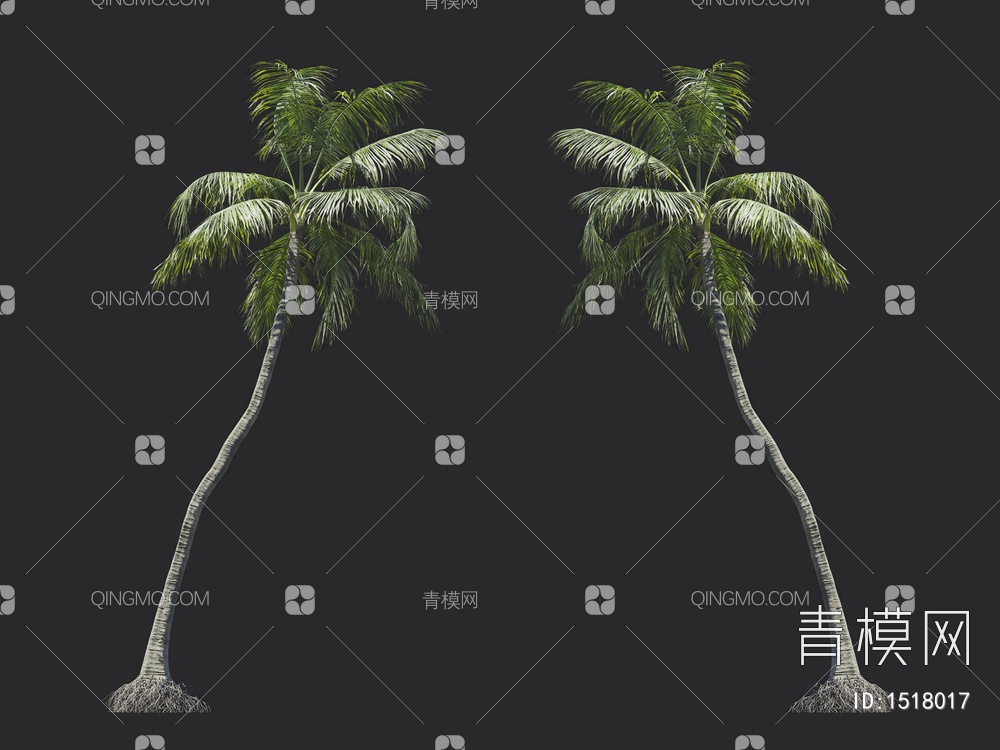 椰子树 热带树 棕榈树3D模型下载【ID:1518017】