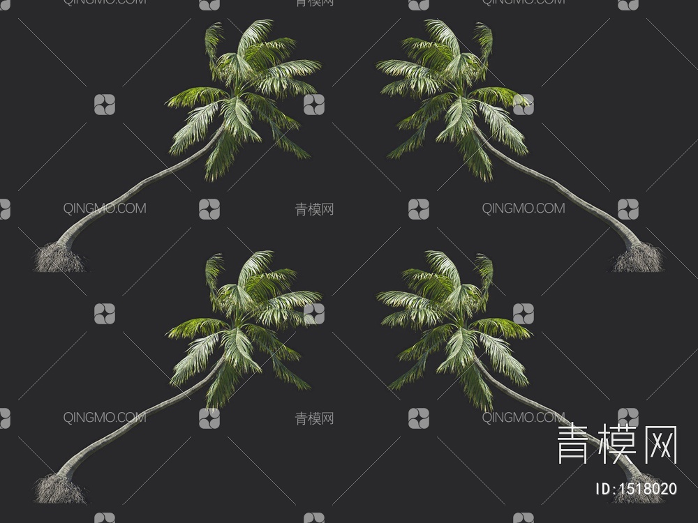 椰子树 热带树 棕榈树3D模型下载【ID:1518020】