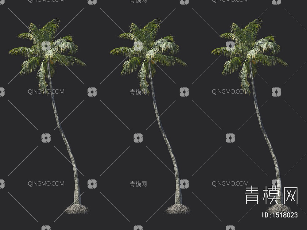 椰子树 热带树 棕榈树3D模型下载【ID:1518023】