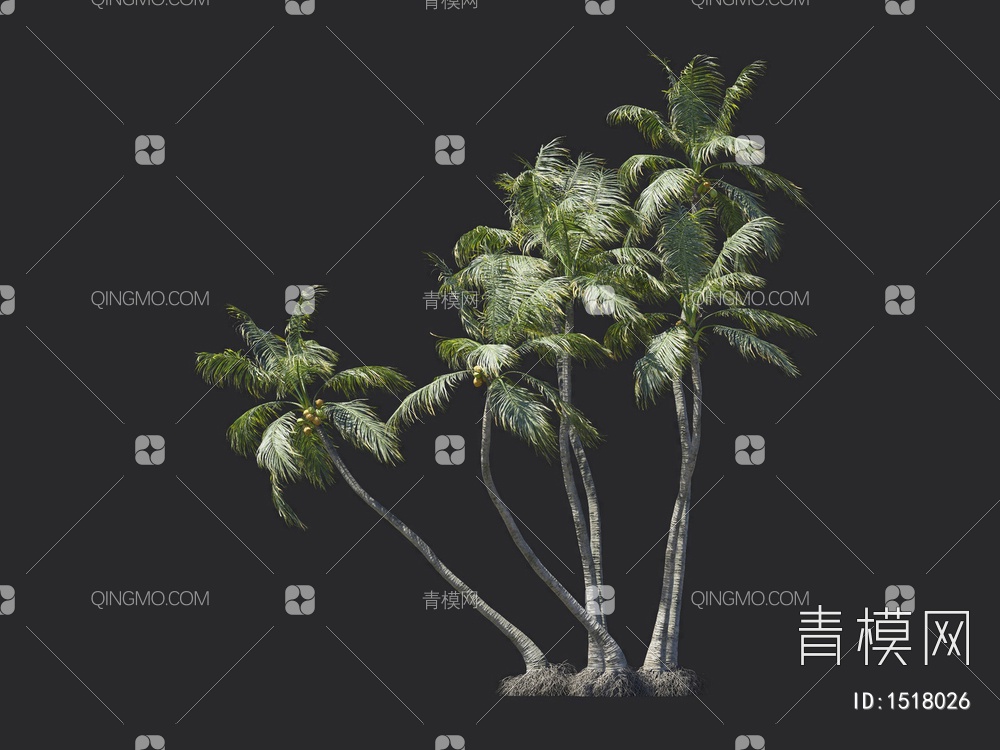 椰子树 热带树 棕榈树3D模型下载【ID:1518026】