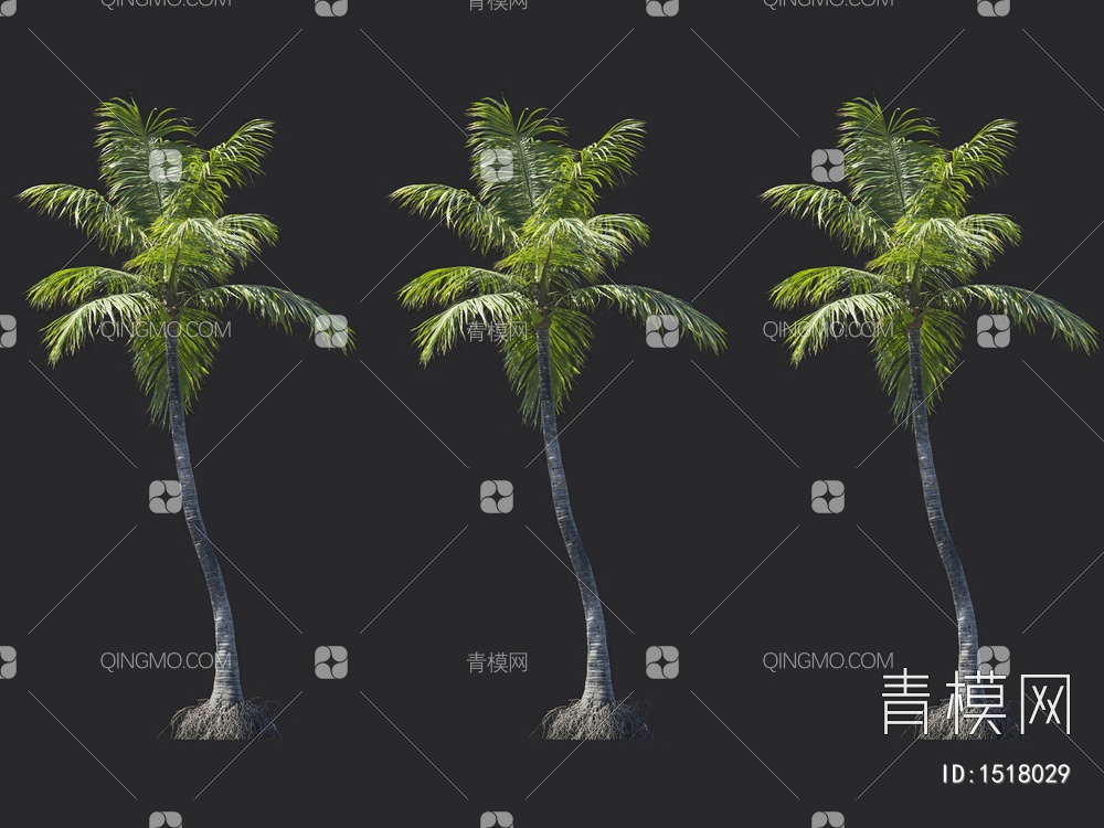 椰子树 热带树 棕榈树3D模型下载【ID:1518029】