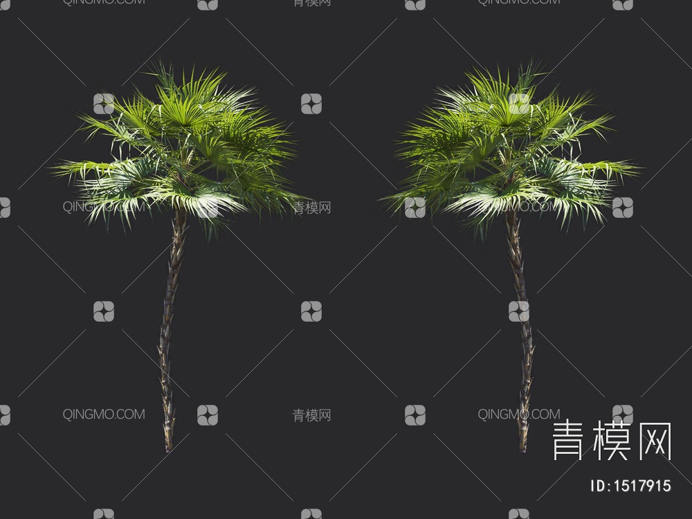 棕榈树，热带树3D模型下载【ID:1517915】