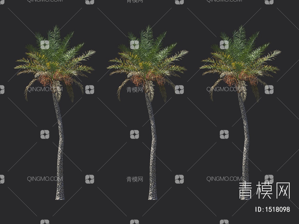 椰子树 热带树 棕榈树3D模型下载【ID:1518098】
