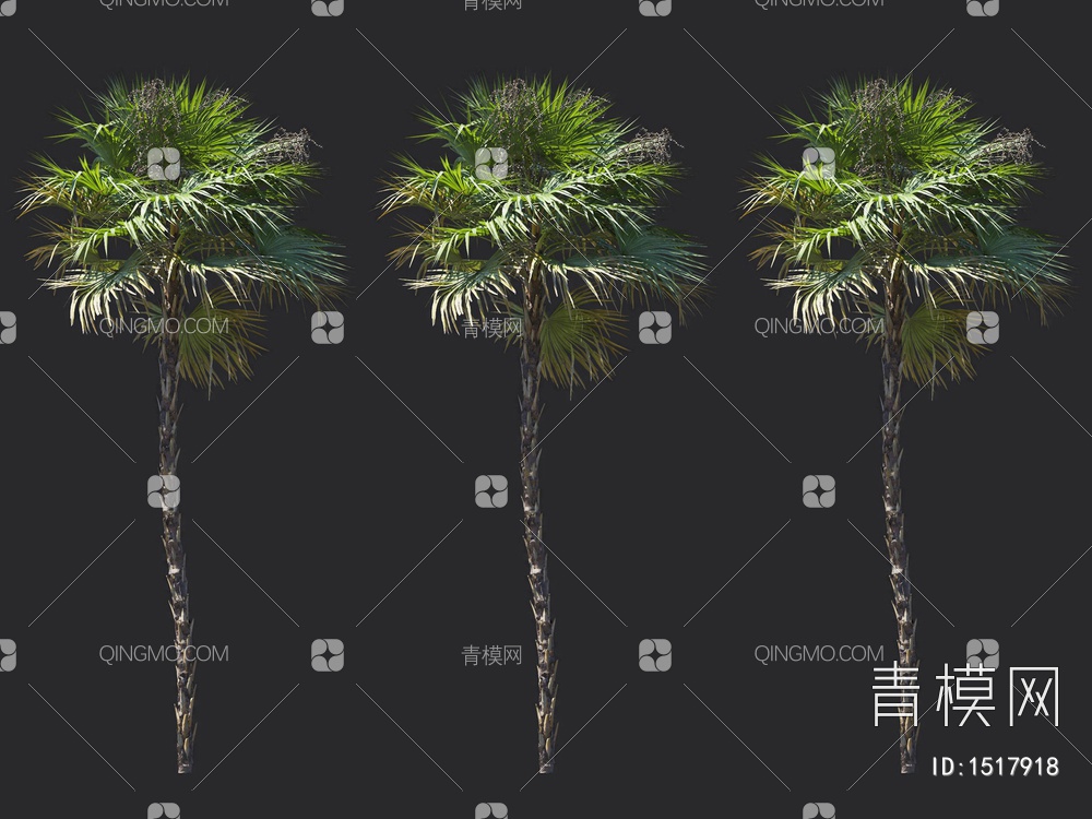 棕榈树，热带树3D模型下载【ID:1517918】