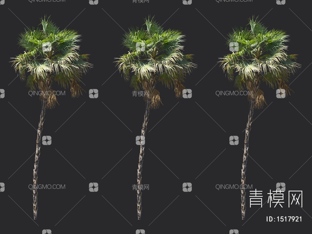 棕榈树，热带树3D模型下载【ID:1517921】