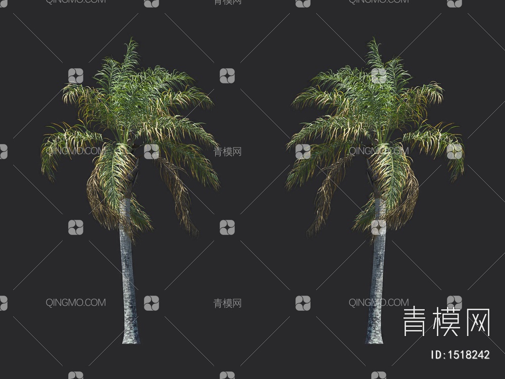 棕榈树 热带树3D模型下载【ID:1518242】