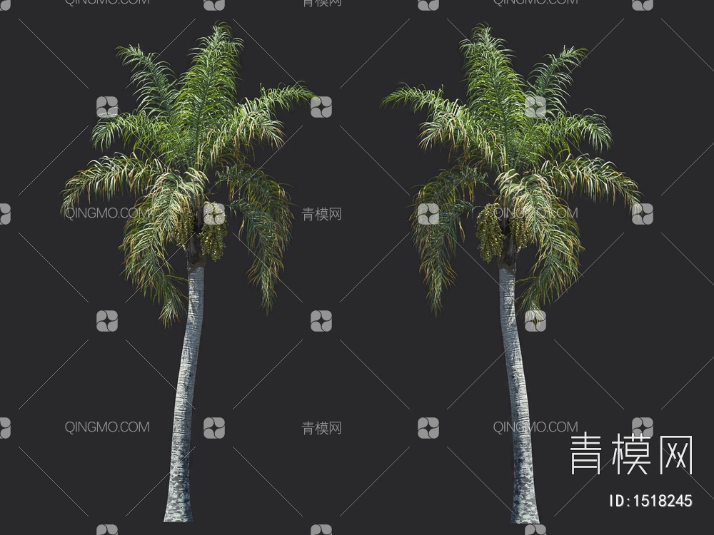 棕榈树 热带树3D模型下载【ID:1518245】
