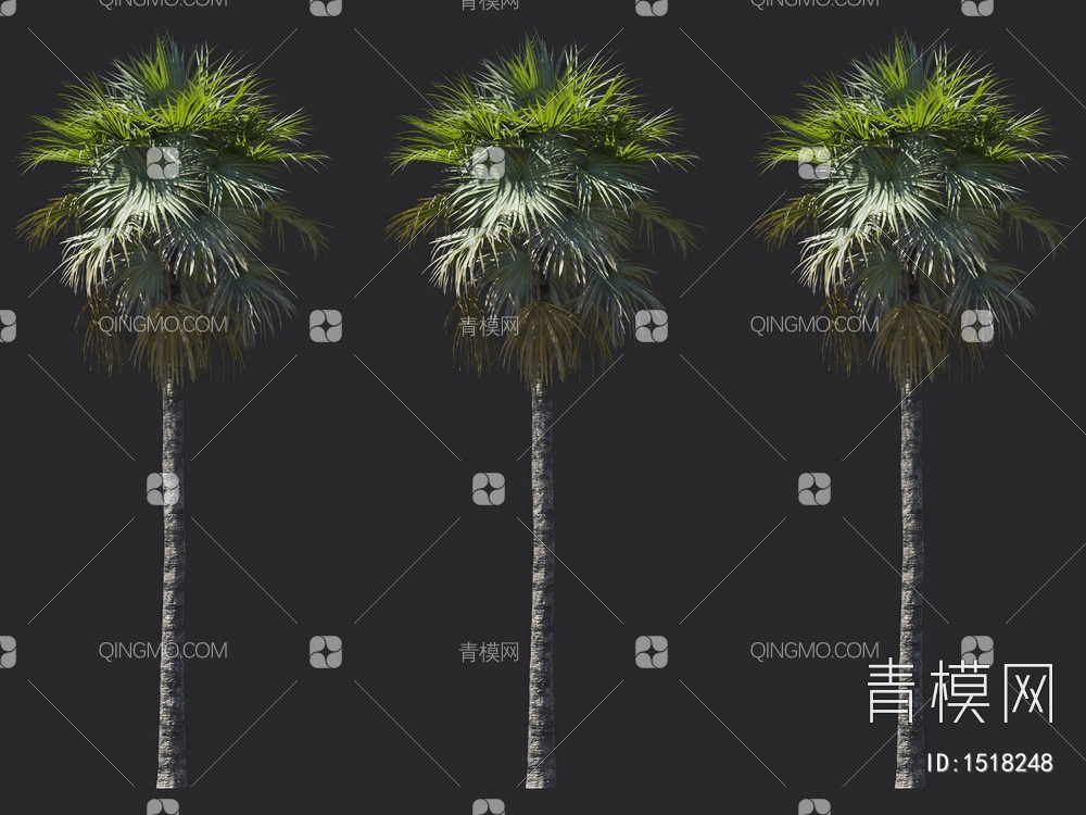 棕榈树 热带树3D模型下载【ID:1518248】