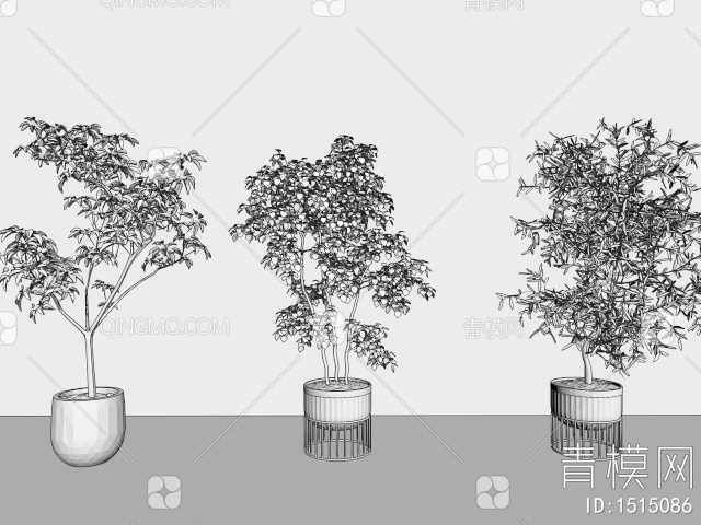 绿植盆栽3D模型下载【ID:1515086】