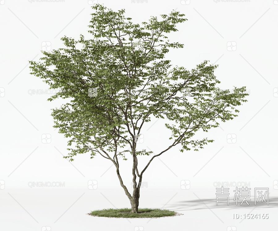 树木3D模型下载【ID:1524165】