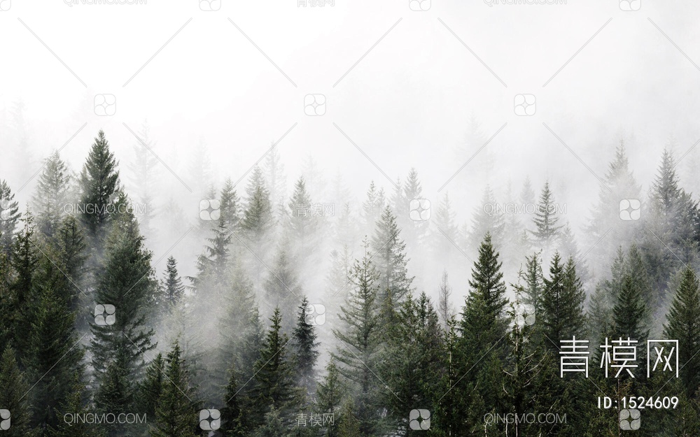 森林树林外景 贴图下载【ID:1524609】