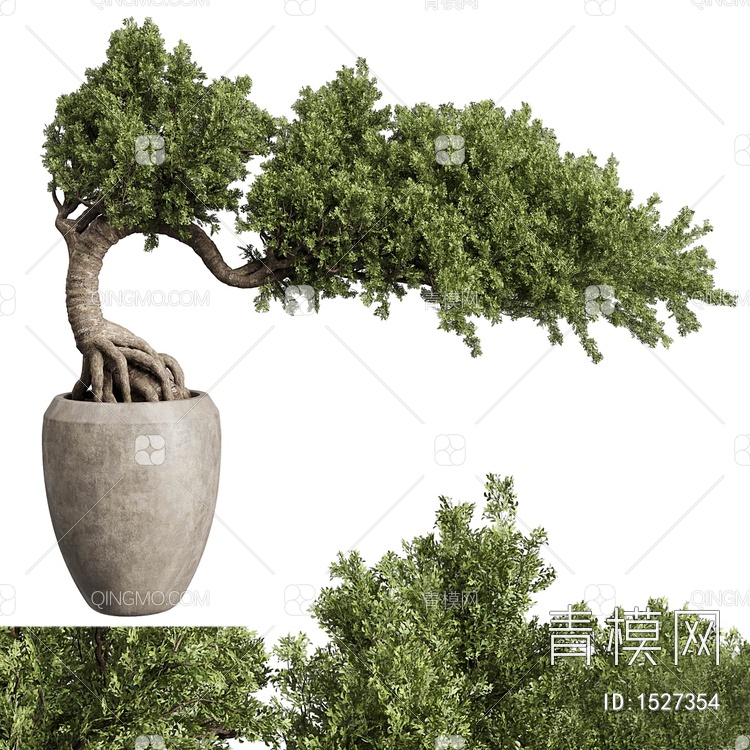盆景树3D模型下载【ID:1527354】