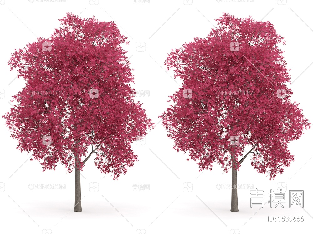 红枫 槭树3D模型下载【ID:1530666】