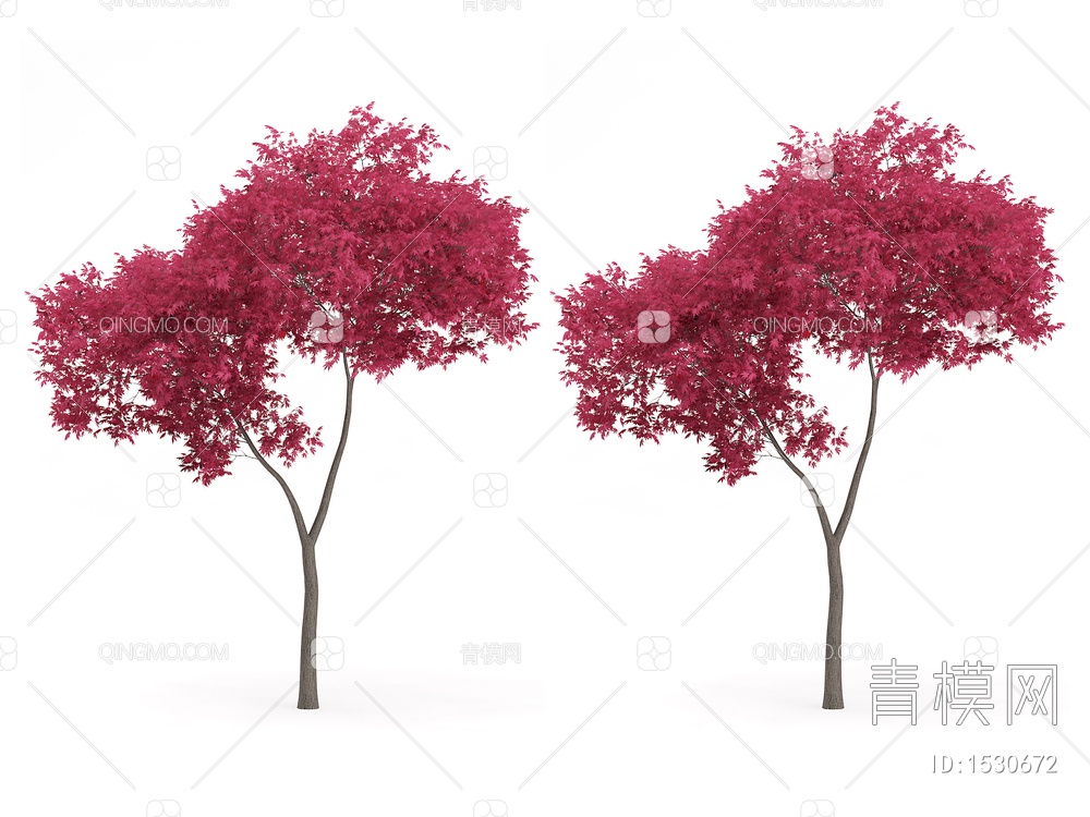 红枫 槭树3D模型下载【ID:1530672】