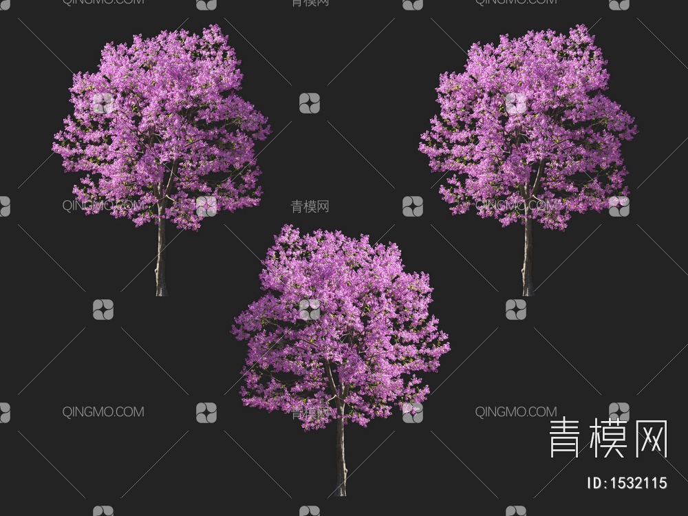 紫花风铃木 开花树3D模型下载【ID:1532115】