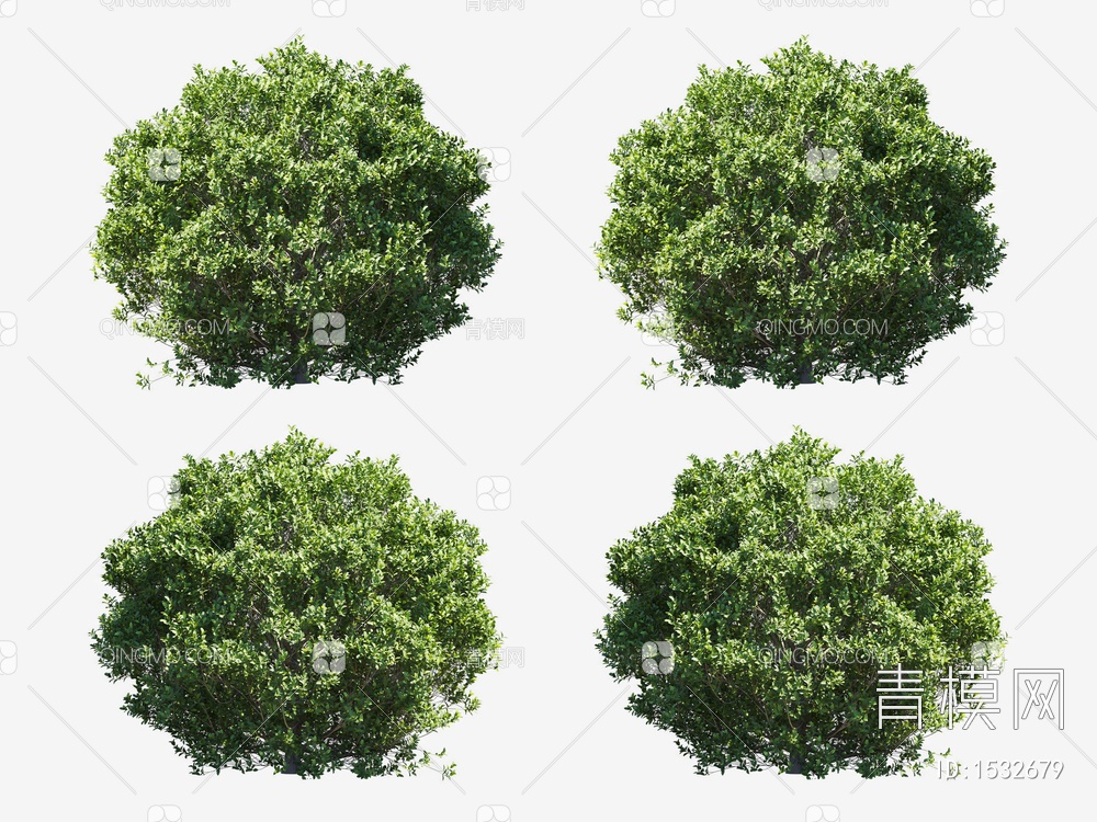 花坛 球形灌木3D模型下载【ID:1532679】