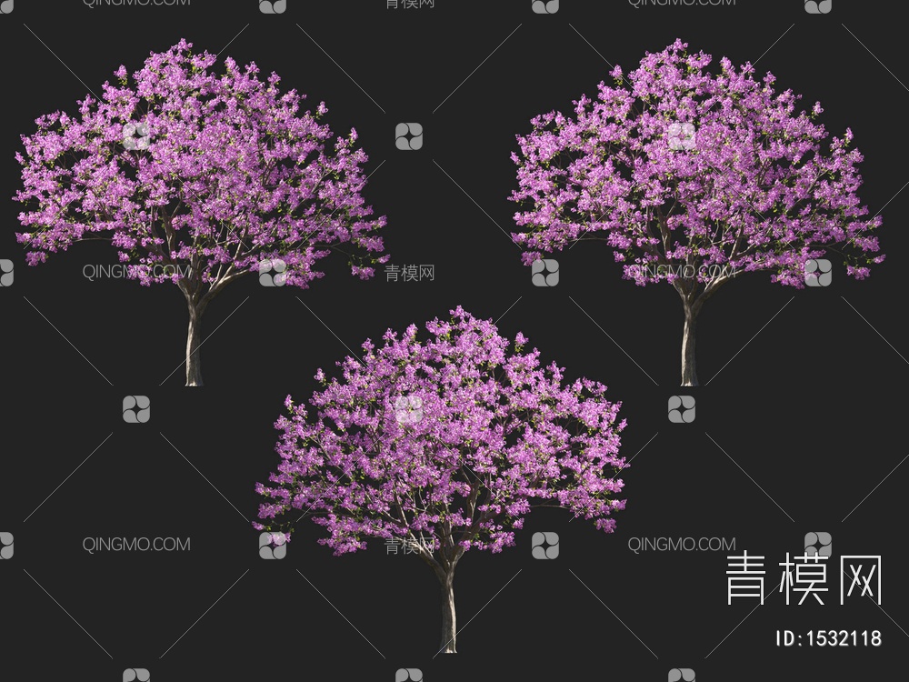 紫花风铃木 开花树3D模型下载【ID:1532118】
