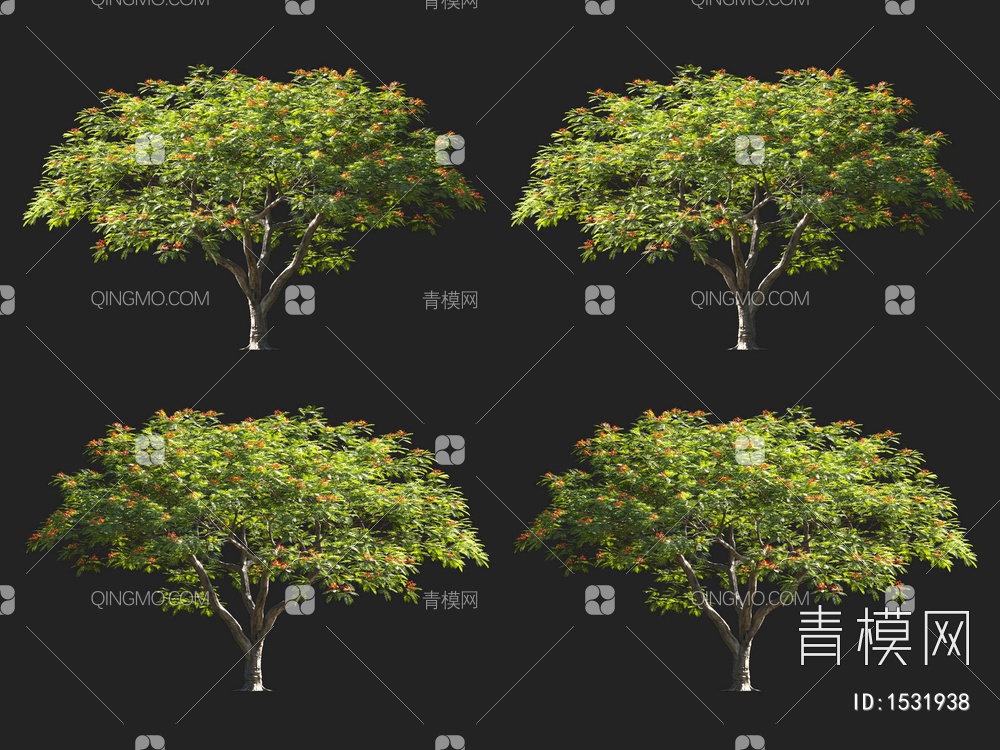 树 凤凰木3D模型下载【ID:1531938】
