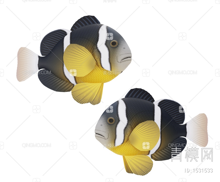 海洋生物 斑马鱼3D模型下载【ID:1531533】