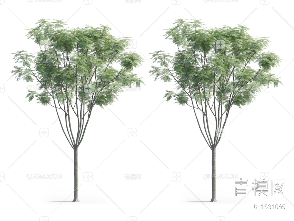 合欢树3D模型下载【ID:1531065】