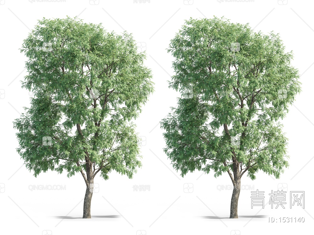 榆树3D模型下载【ID:1531140】