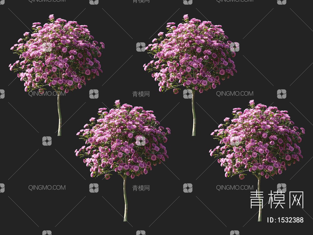 月季花，蔷薇3D模型下载【ID:1532388】