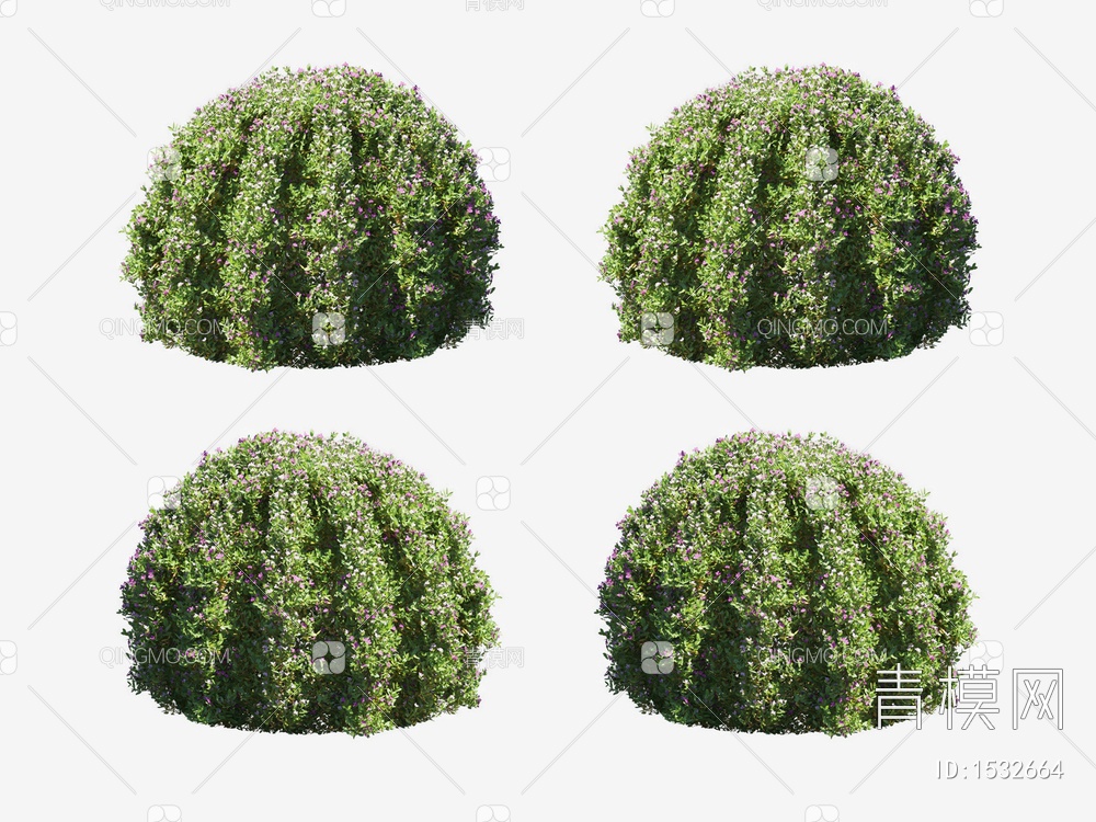 园艺灌木3D模型下载【ID:1532664】