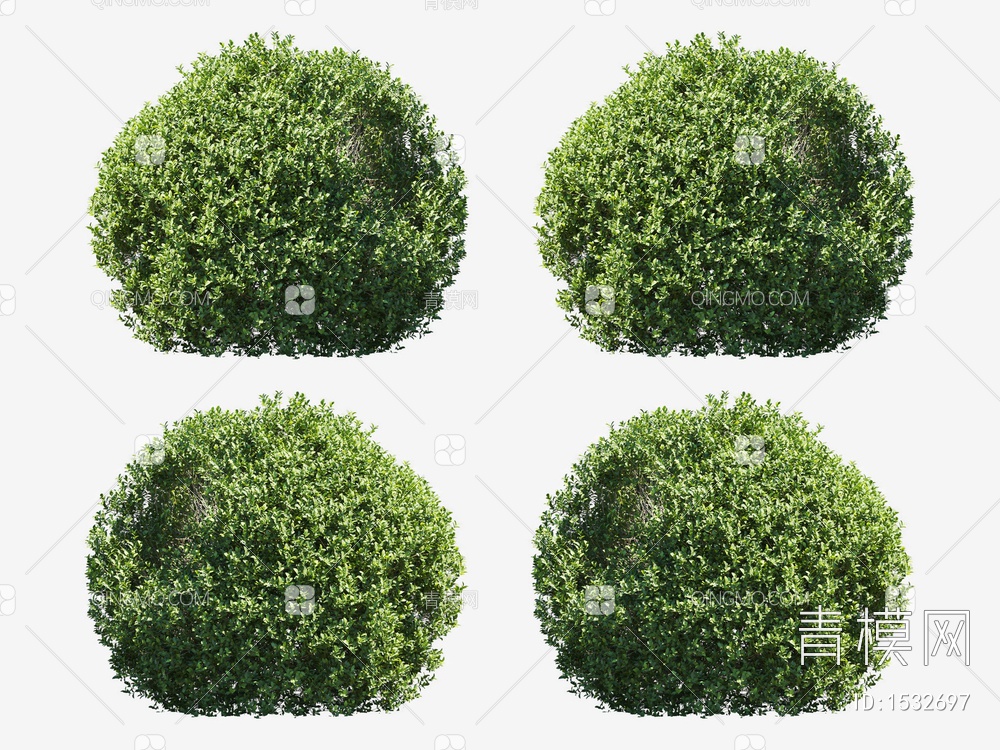 园艺 球形灌木3D模型下载【ID:1532697】