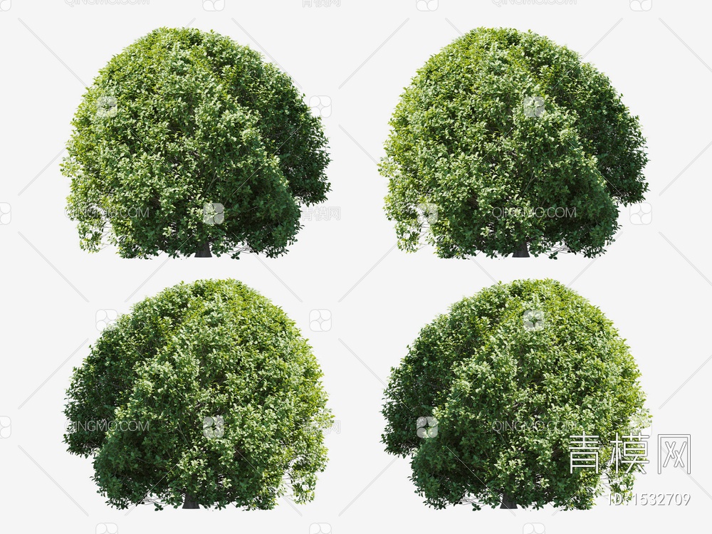 园艺 球形灌木3D模型下载【ID:1532709】