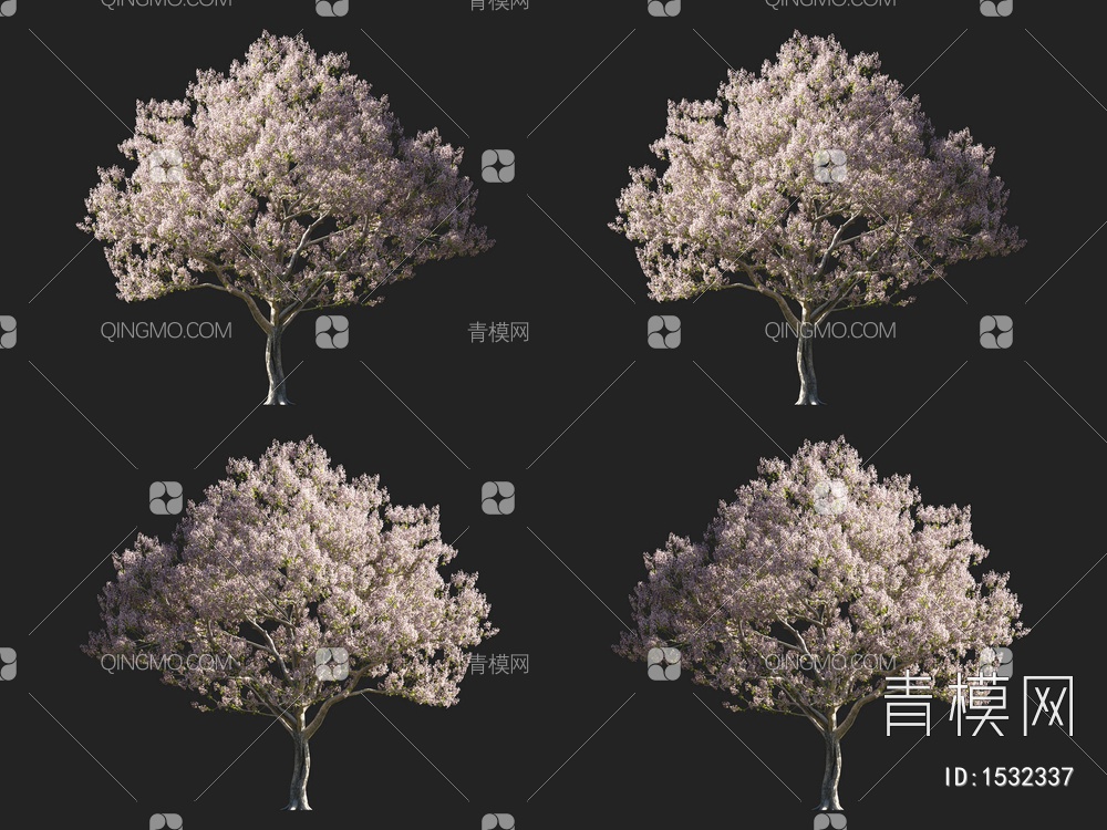 泡桐树 开花树3D模型下载【ID:1532337】