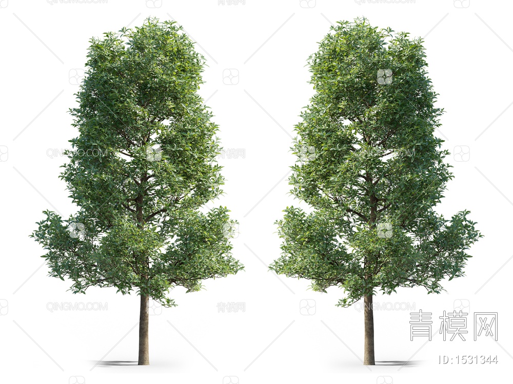 野橄榄树3D模型下载【ID:1531344】