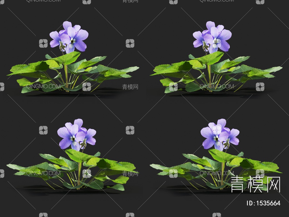 花草 蓝堇菜 紫色小花3D模型下载【ID:1535664】