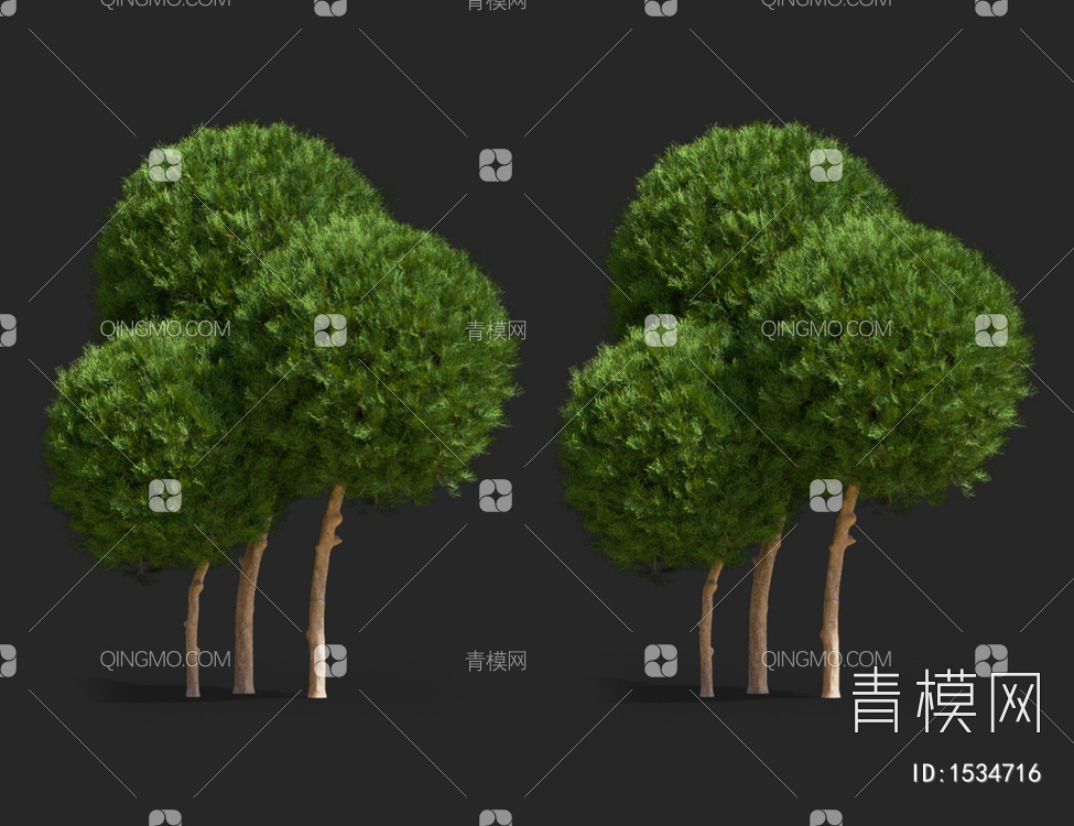 灌木3D模型下载【ID:1534716】