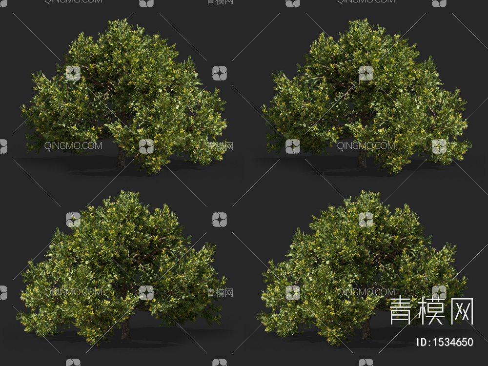 灌木3D模型下载【ID:1534650】