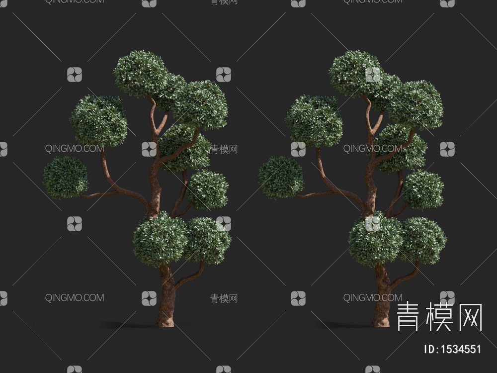 观赏树3D模型下载【ID:1534551】