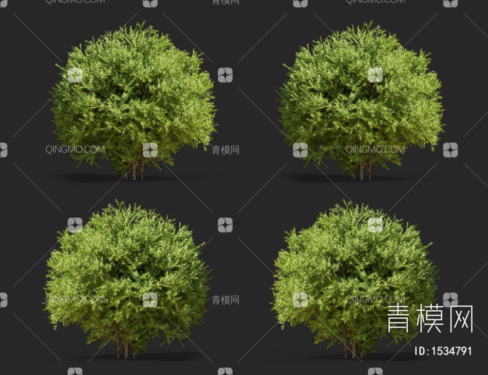 灌木3D模型下载【ID:1534791】