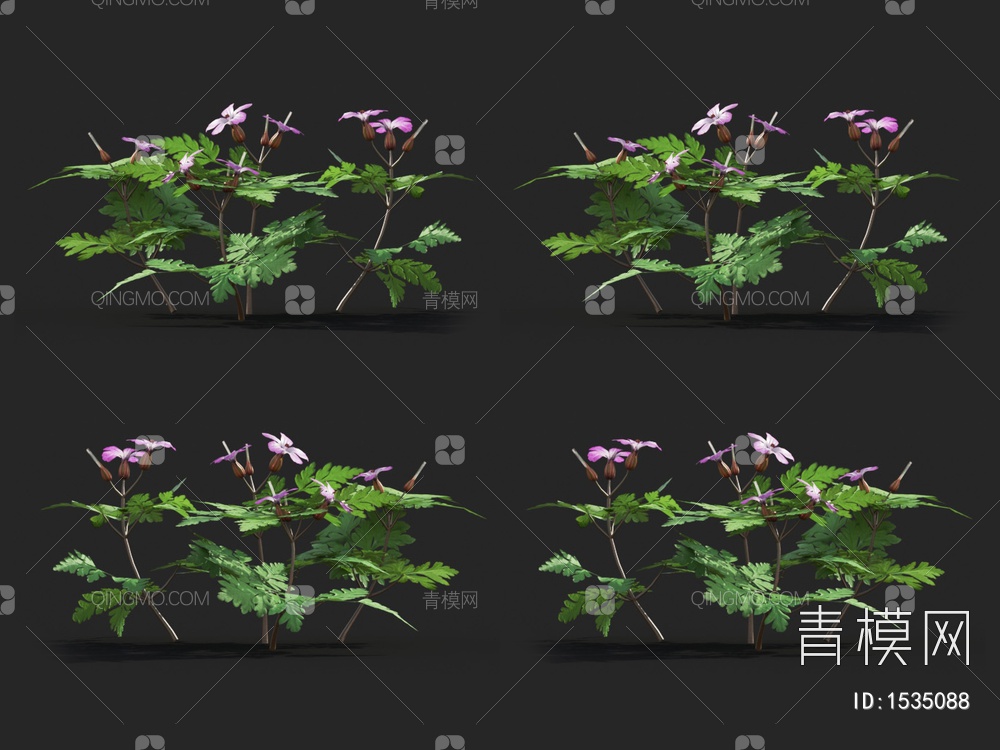 【老鹳草 花草3D模型】-现代无灯光有贴图MAX2016其他老鹳草 花草3d模型下载-ID1535088-免费3Dmax模型库 - 青模3d模型网