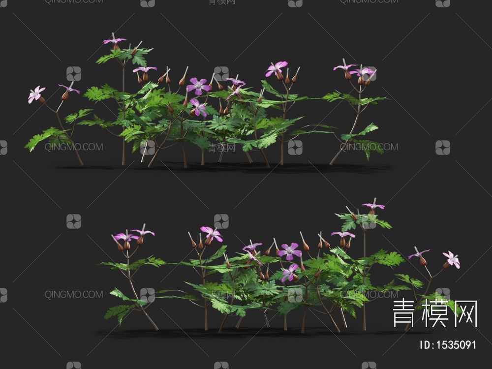 【老鹳草 花草3D模型】-现代无灯光有贴图MAX2016其他老鹳草 花草3d模型下载-ID1535091-免费3Dmax模型库 - 青模3d模型网