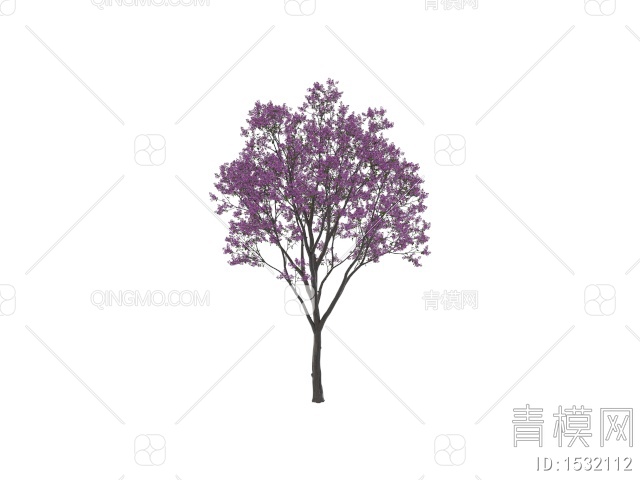紫花风铃木 开花树3D模型下载【ID:1532112】