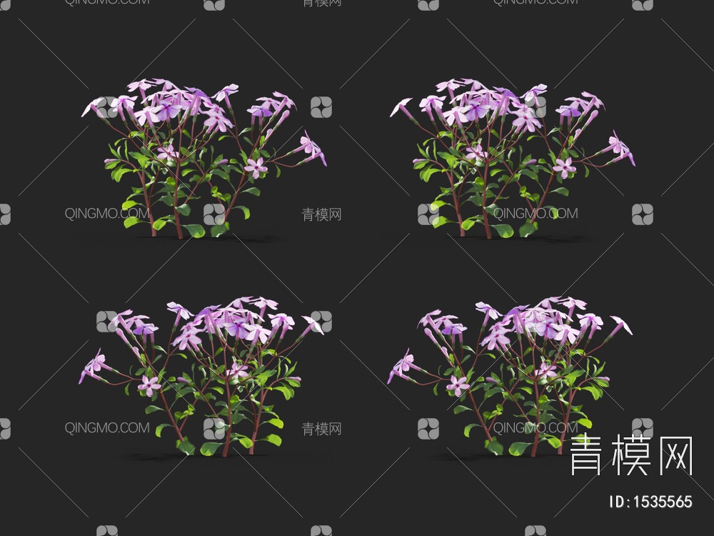 花草 福禄考 花卉 花圃3D模型下载【ID:1535565】
